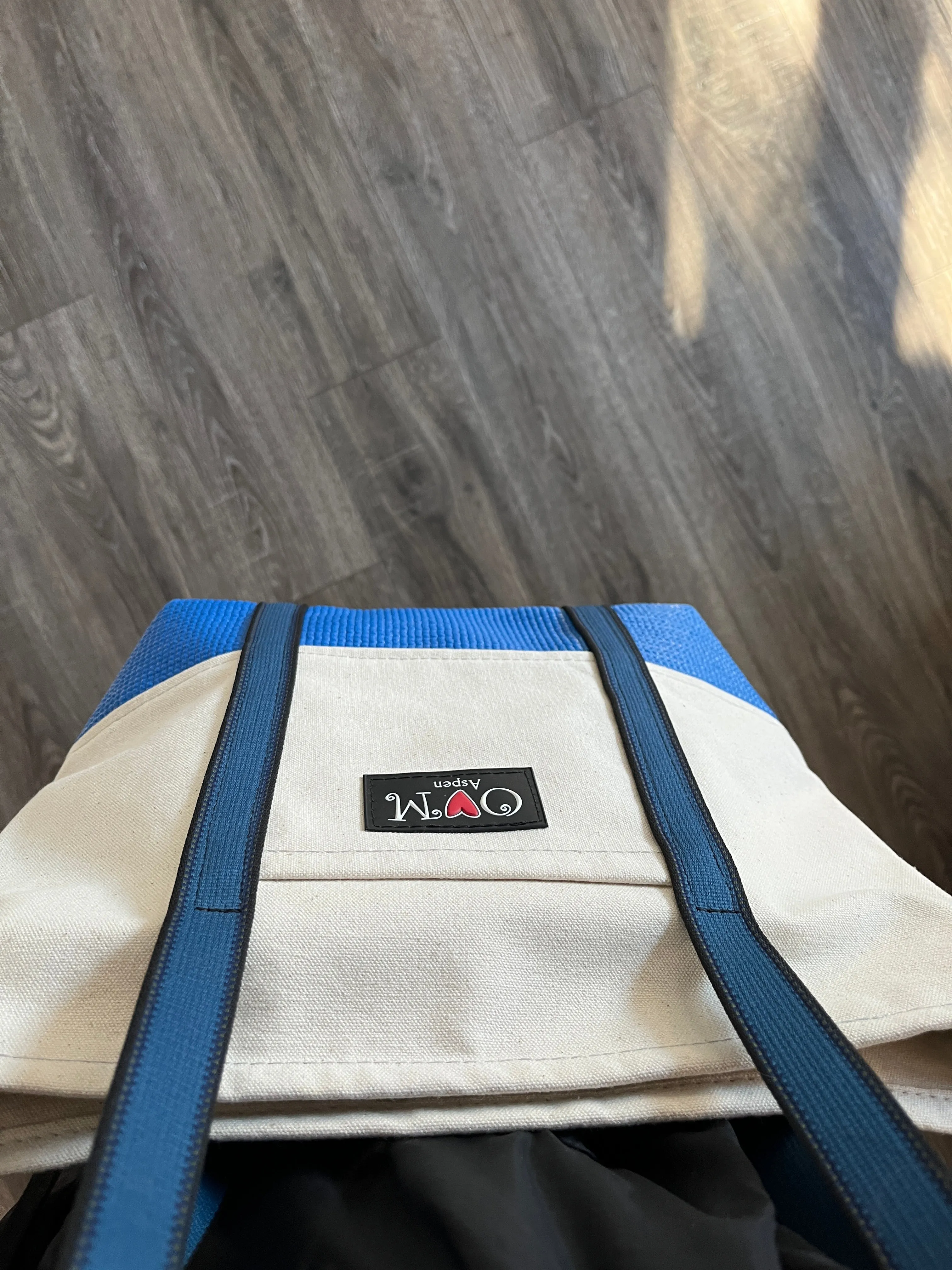 Canvas Zip Tote-Blue