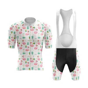 Flamingo New Aero Cycling Kit (V4)