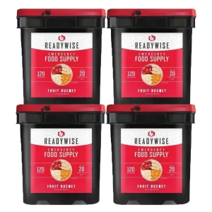 ReadyWise 480 Serving Fruit Bucket Combo